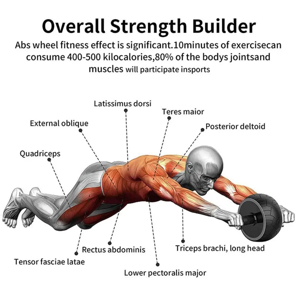 Ab Roller Wheel — Multi-Angle Core Trainer
